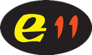 E11 phone case